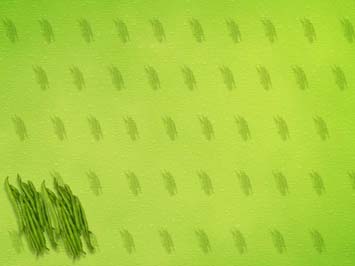 French Beans Title Content PowerPoint Template