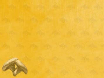 Mushrooms Title Content PowerPoint Template