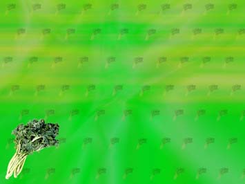 Spinach Title Content PowerPoint Template