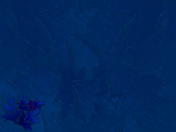 Looking Leaves Title Content PowerPoint Template