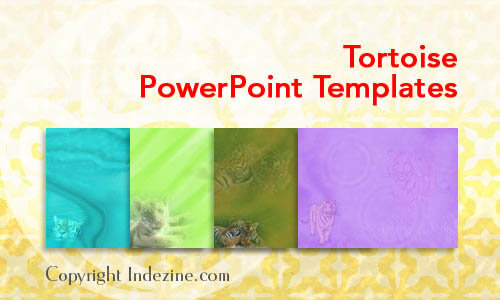 Tortoise Slideshow Tortoise PowerPoint Templates