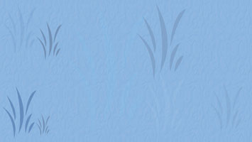 Rich Media 04 Title Content PowerPoint Template