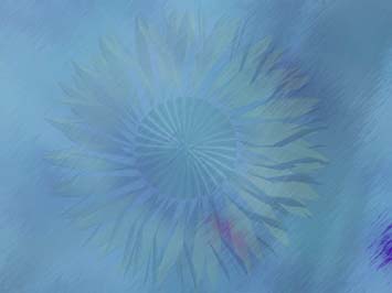 Blooming Title Content PowerPoint Template