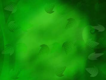 Leafage Title Content PowerPoint Template