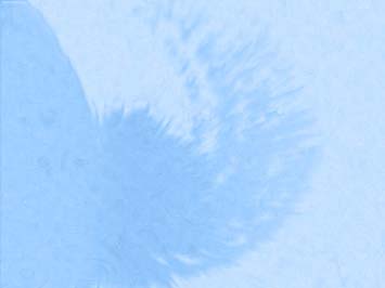 Textured Title Content PowerPoint Template