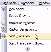 Access Slide Transition