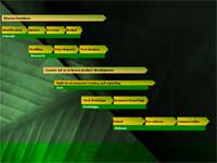 PowerPoint backgrounds