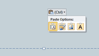 Paste Options button