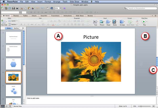 Elements of Slide Area Elements of Slide Area