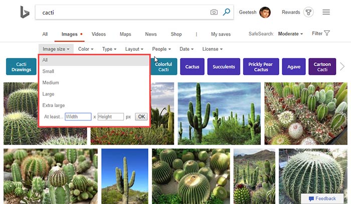 Bing Image Search