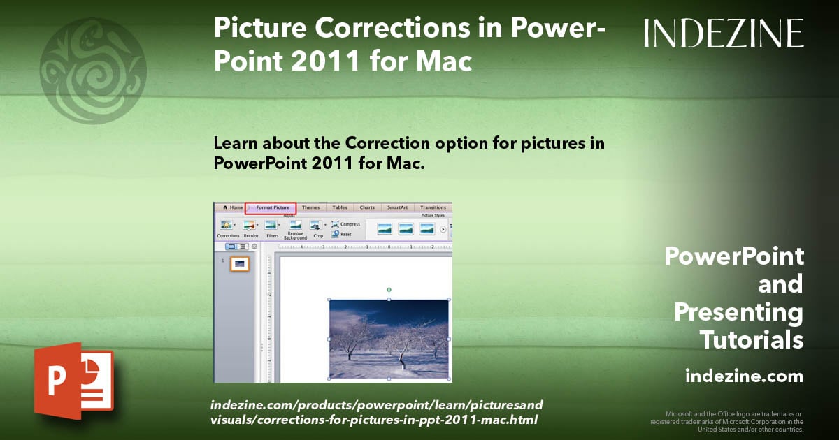 Picture Corrections in PowerPoint 2011 for Mac