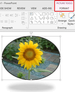 Learn PowerPoint 2013 for Windows: Reset Pictures