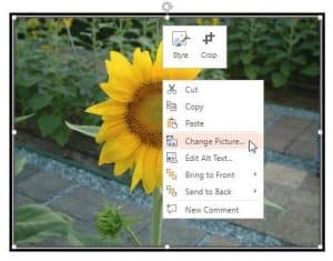 Change Picture in PowerPoint Online