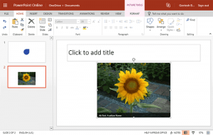 Insert Pictures in PowerPoint Online