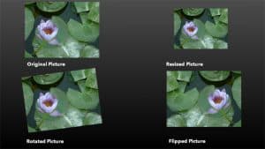 Resize, Rotate, and Flip Pictures in PowerPoint Online