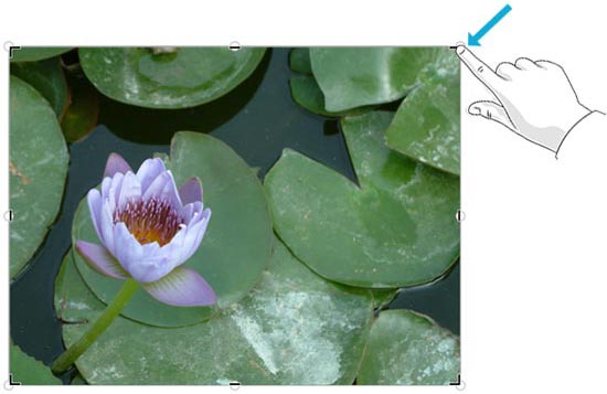 Drag corner crop handle inwards